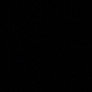 Meet your Posher, Isabella